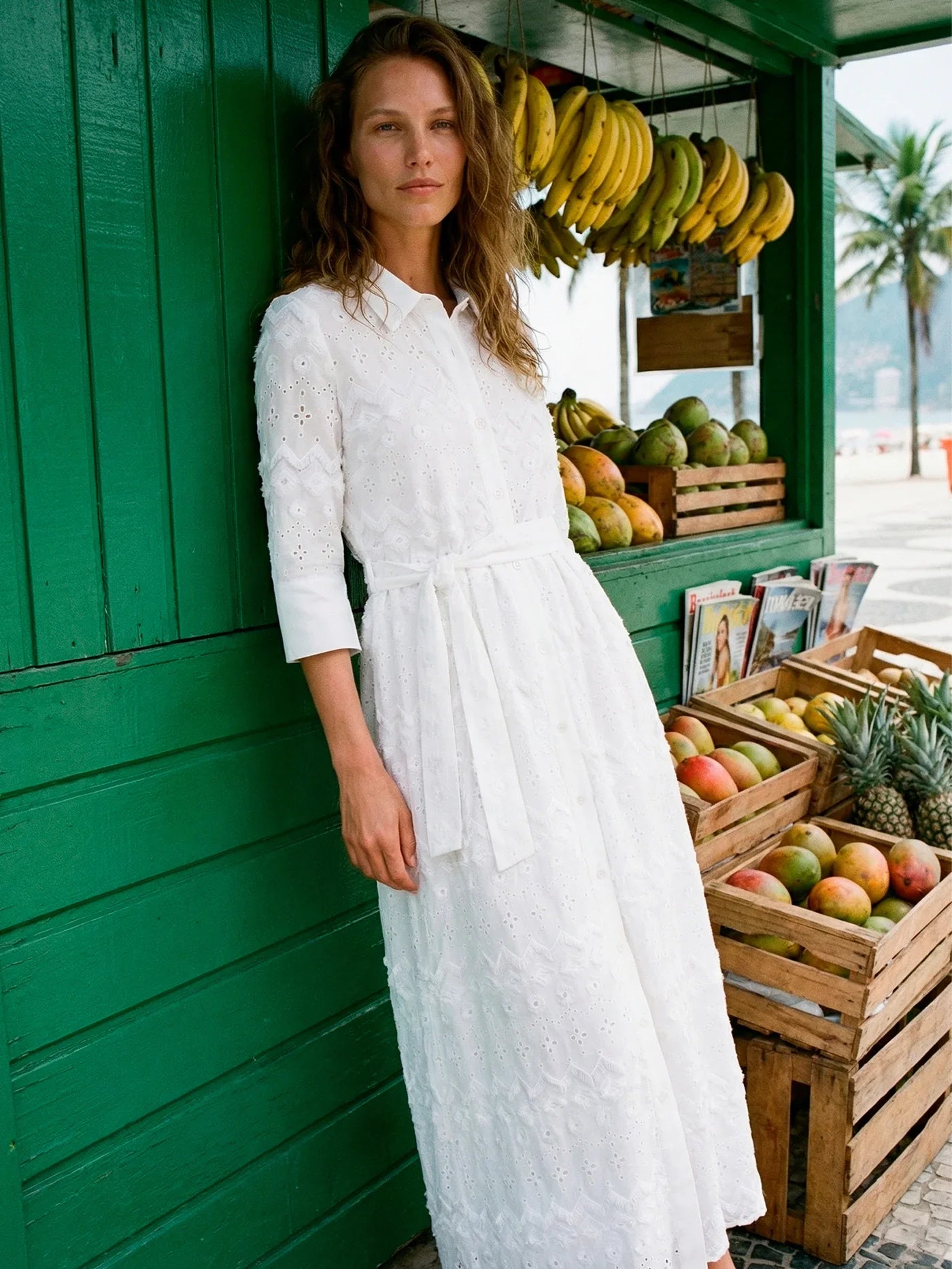 Vilagallo Dress White Embroidered Dress