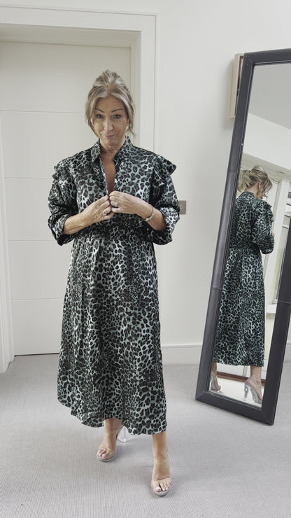 Leopard Print Long Length Dress